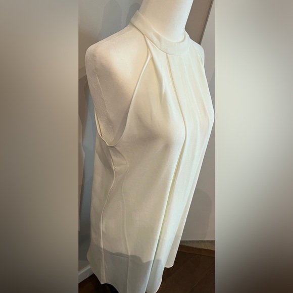 Bishop + Young Semi-Sheer Ivory Halter Dress Sz Small - Picture 3 of 8